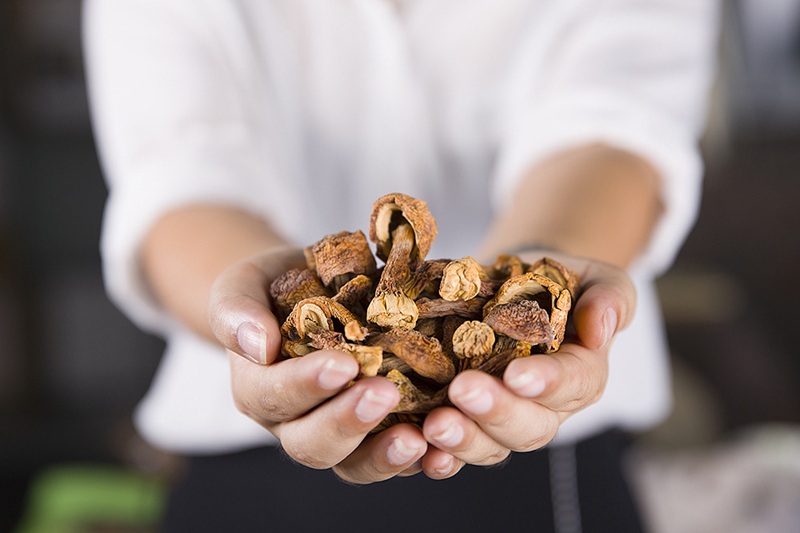 農(nóng)產(chǎn)品宣傳片的視頻營(yíng)銷